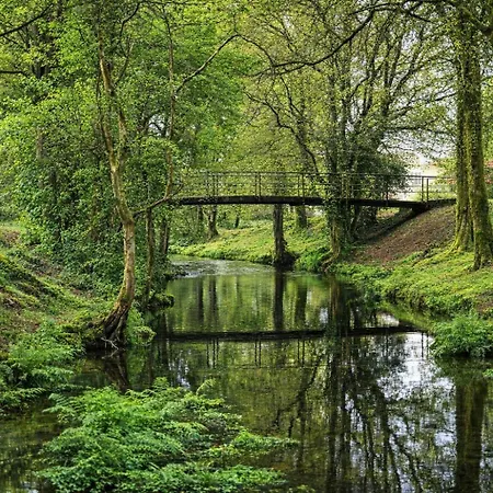 营地 Compostela - Bosque Encantado *