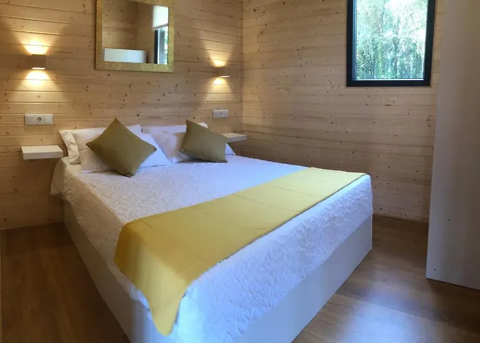 Compostela - Bosque Encantado